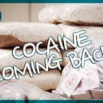 Don’t Call It a Comeback: Cocaine Has Been in South Florida for Years