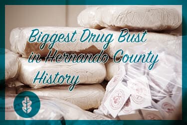 Trump and the Biggest Drug Bust in Hernando County History